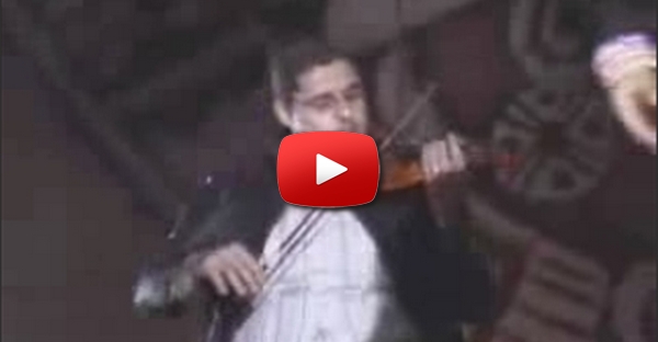 Profissional do Violino